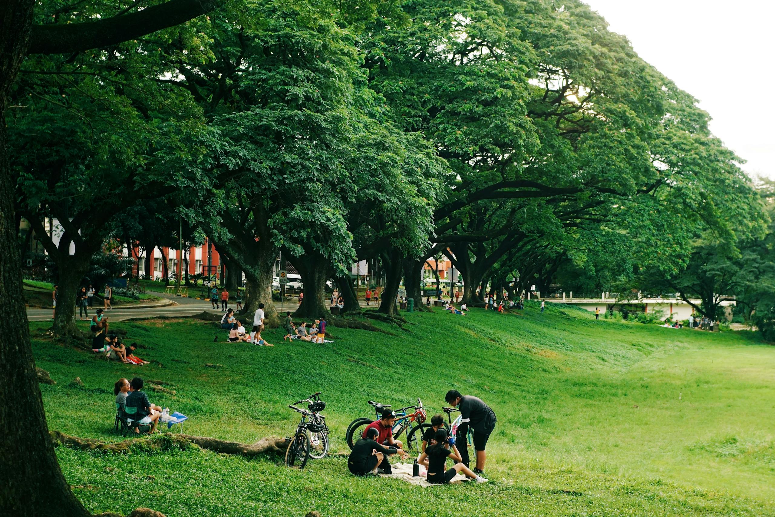 People enjoying a leisurely day in a large green park with bicycles and picnic activities.
